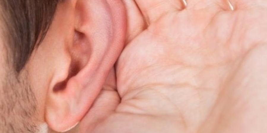 Dzirdes informācijas nedēļas atklāšana 23. februārī Nacionālajā bibliotēkā.