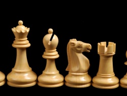 2013. gada čempionāts šahā invalīdiem
