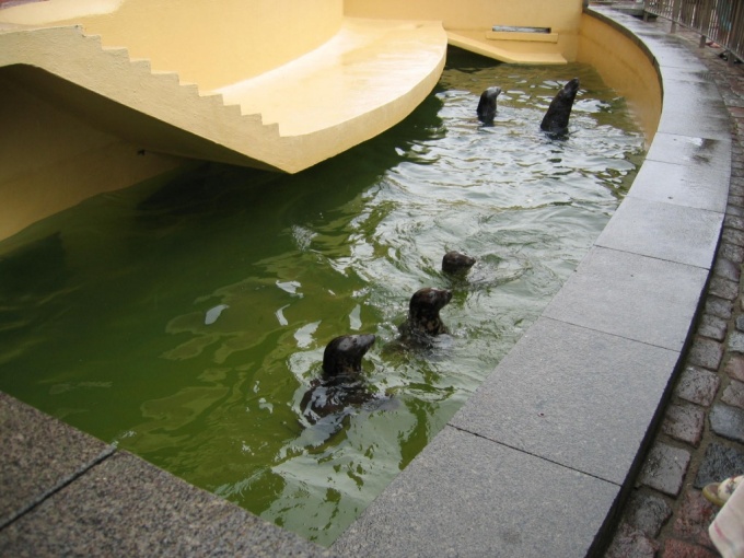 Nedēļas nogales brauciens