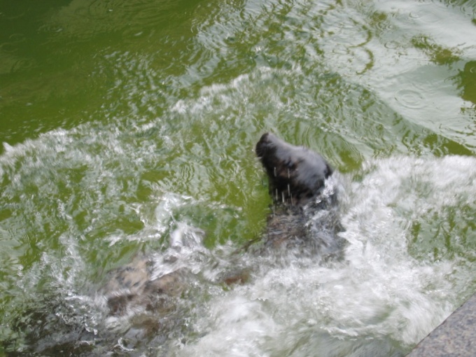 Nedēļas nogales brauciens