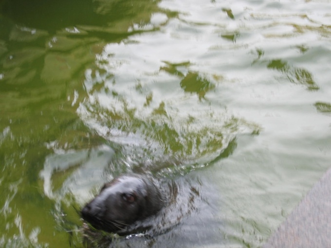 Nedēļas nogales brauciens