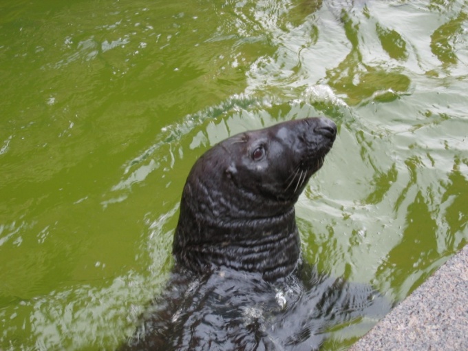 Nedēļas nogales brauciens