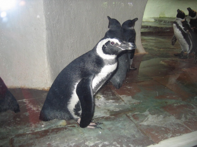 Nedēļas nogales brauciens