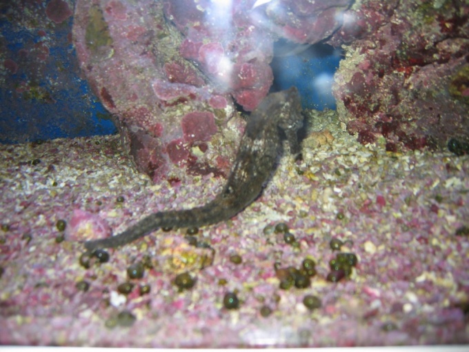 Nedēļas nogales brauciens