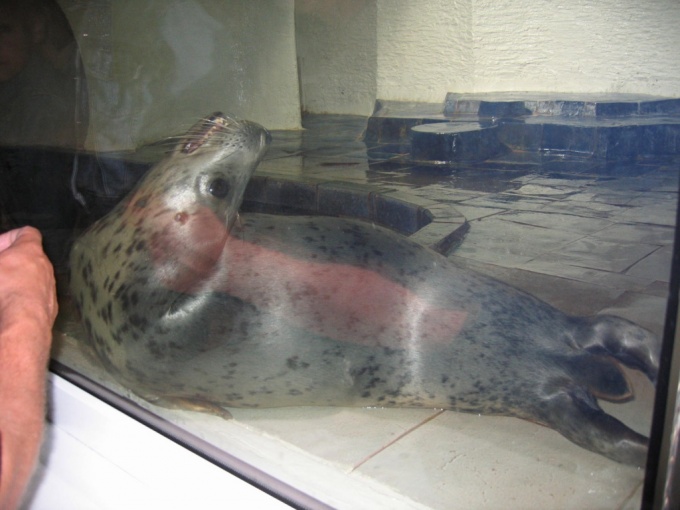 Nedēļas nogales brauciens