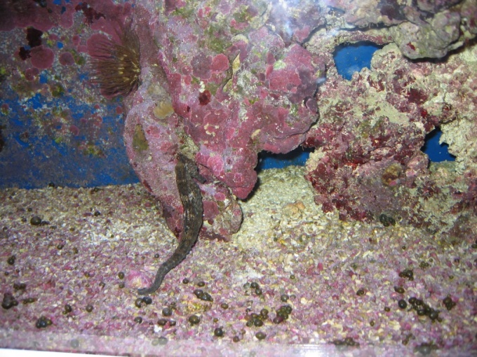 Nedēļas nogales brauciens