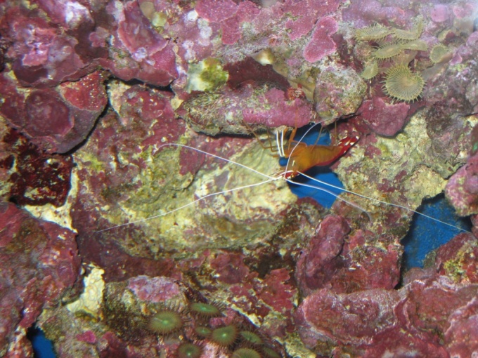 Nedēļas nogales brauciens