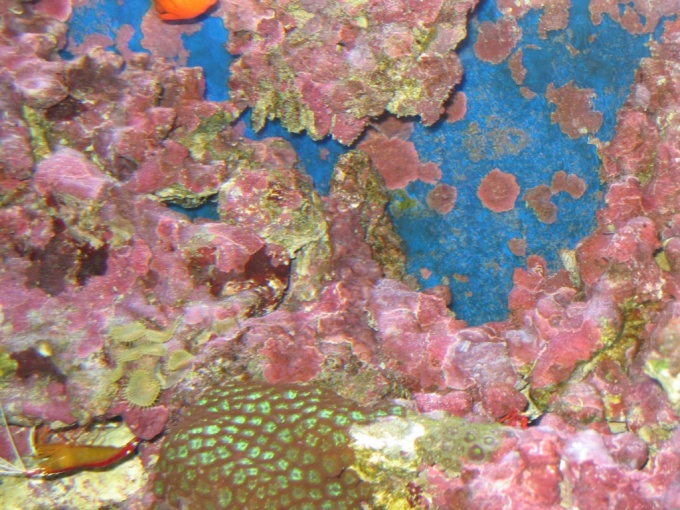 Nedēļas nogales brauciens