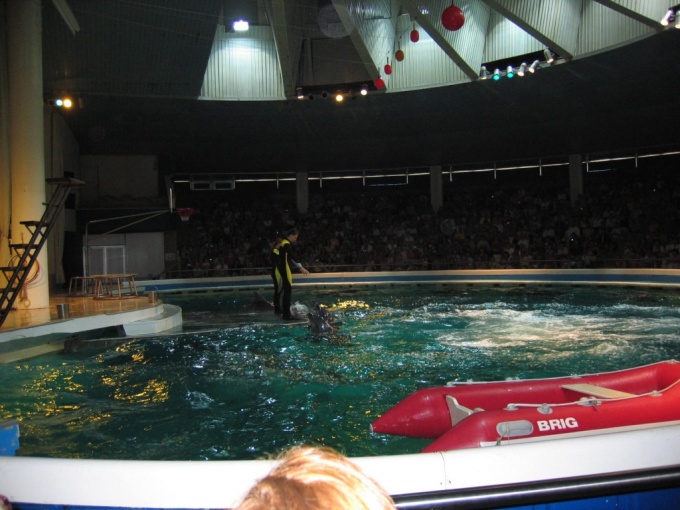 Nedēļas nogales brauciens