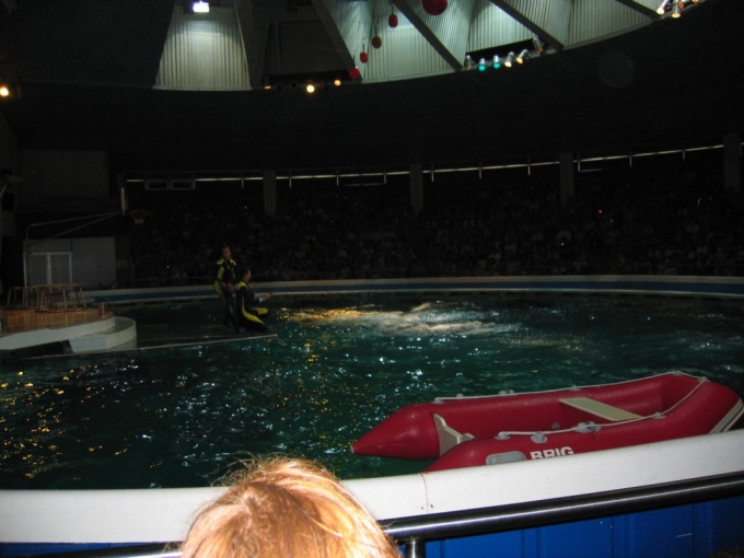 Nedēļas nogales brauciens