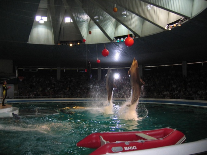 Nedēļas nogales brauciens