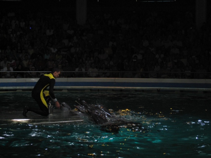 Nedēļas nogales brauciens