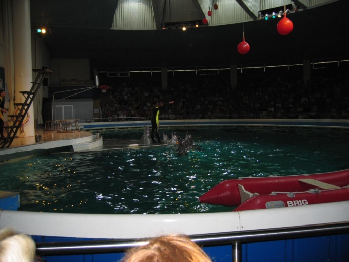 Nedēļas nogales brauciens