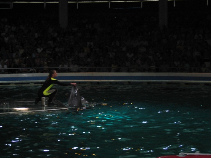 Nedēļas nogales brauciens