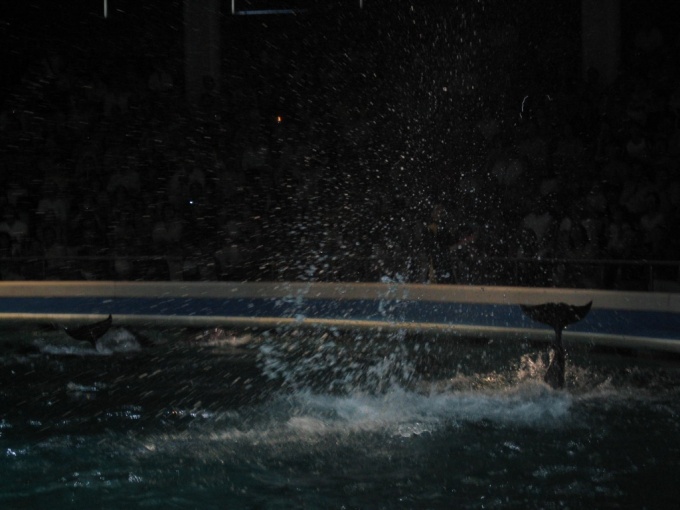 Nedēļas nogales brauciens