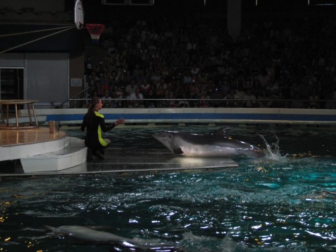 Nedēļas nogales brauciens