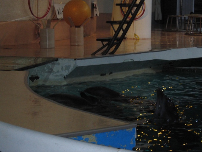 Nedēļas nogales brauciens