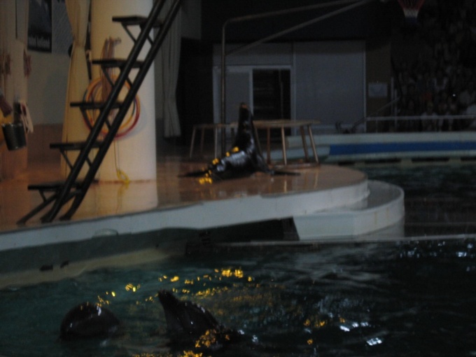 Nedēļas nogales brauciens