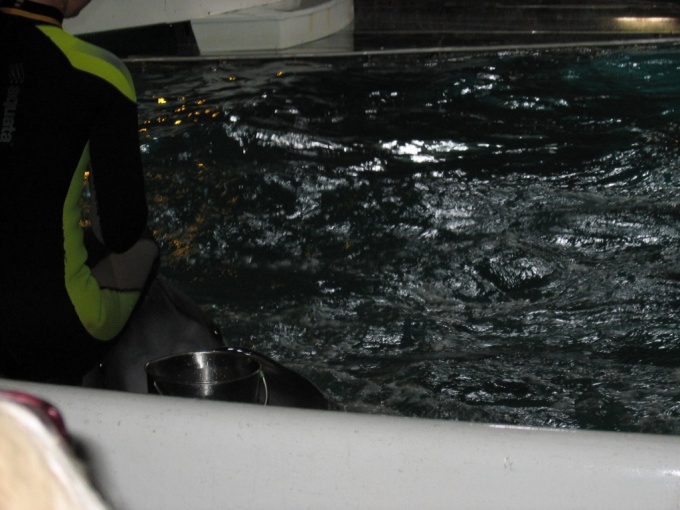 Nedēļas nogales brauciens