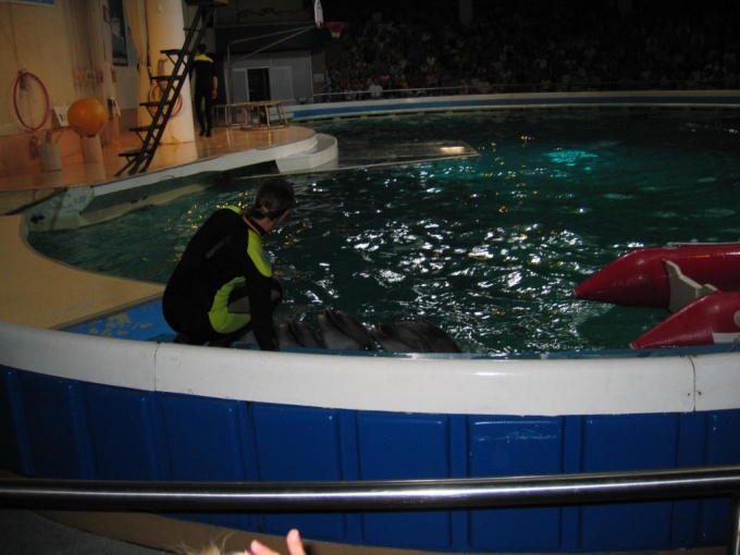 Nedēļas nogales brauciens